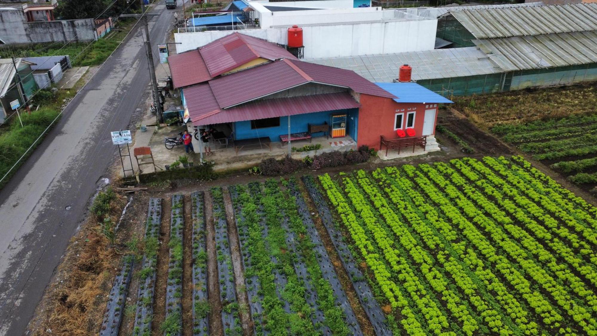 Vulkaan Homestay Berastagi Exterior foto